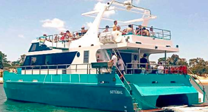 Catamaran 56